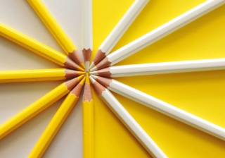 yellow pencils working together partnership join