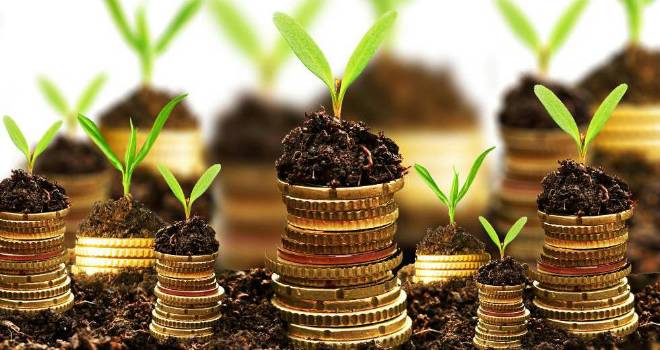 coins saving money stack plants