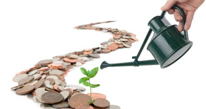 growth coins money finance savings