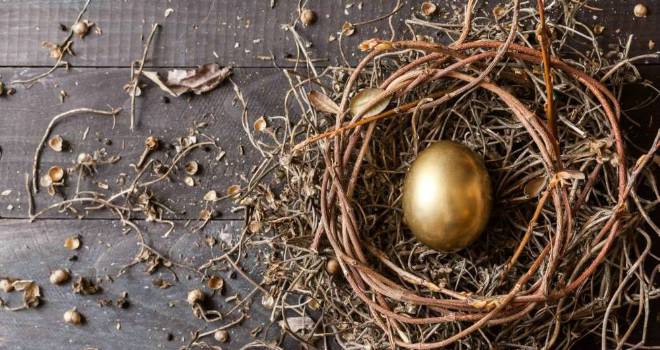 retirement nest egg savings annuity pension