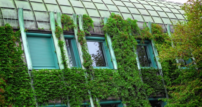 eco green housing plants house 