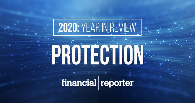 protection year in review