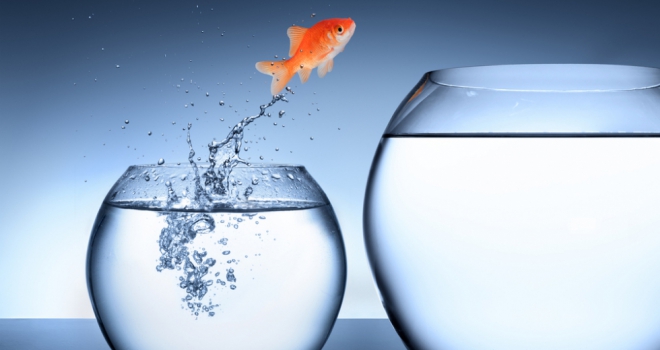 rise growth improve move new job fish bowl